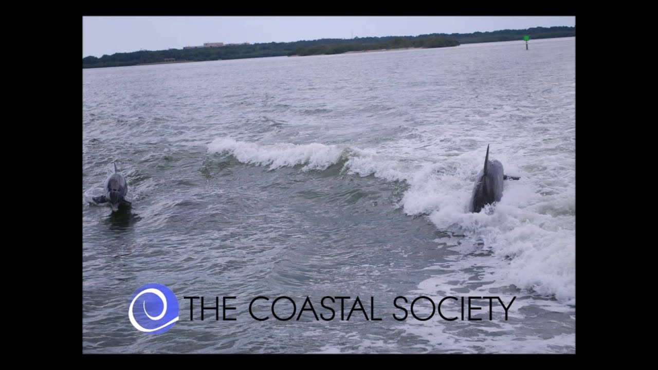 TCS Video 1 What Does TCS Mean to You? YouTube