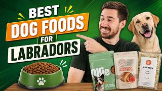 Best Dog Foods for Labradors | Ingredients That Matter Most Best Dog Foods for Labradors | Ingredients That Matter Most