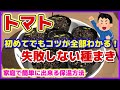 【完全ガイド】初めてでも失敗しないトマトの種まき/大玉トマトのオススメ品種「麗夏」/初心者でもわかりやすい種まきのコツ/催芽まきのやり方/使うポットのサイズと理由/家庭で簡単に出来る保温方法/家庭菜園