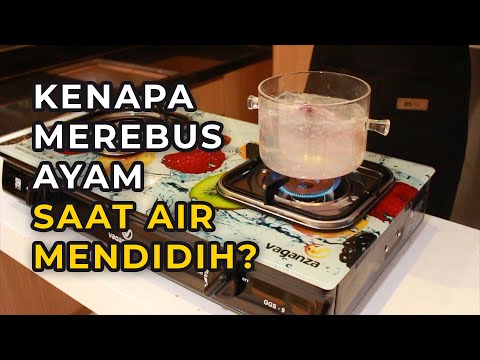 Waktu Ideal Merebus Ayam