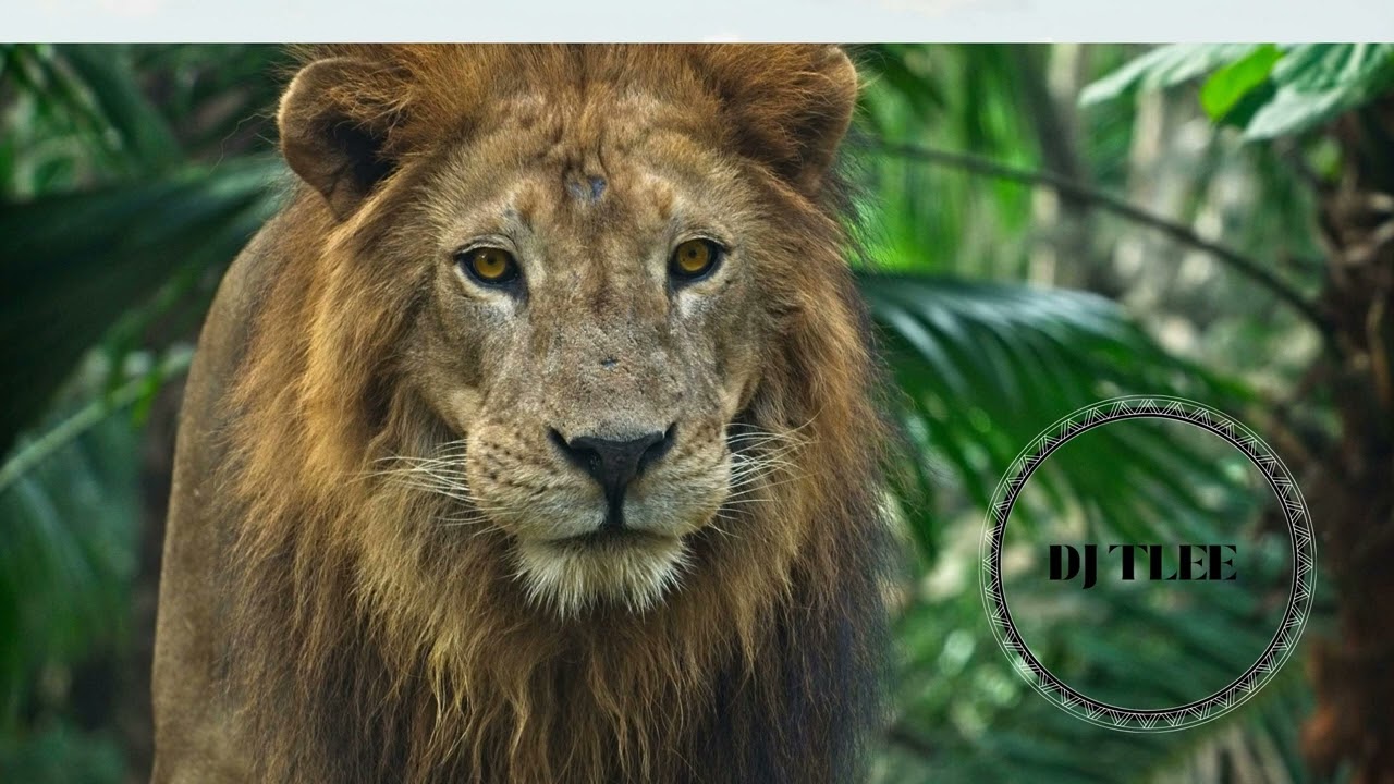 Robyn - Dancing On My Own - DE SOFFER Remix