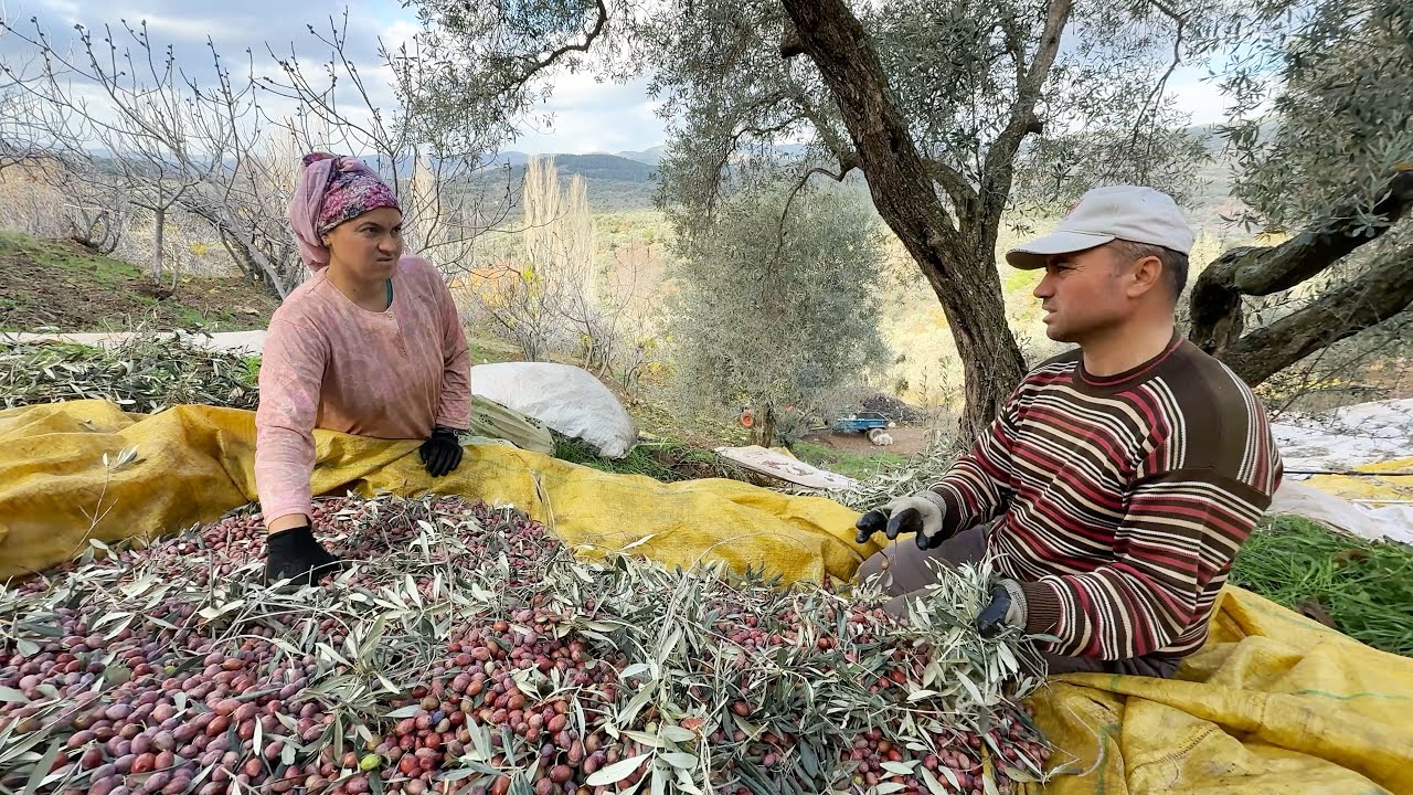Çiftçinin Masrafı Bitmez Yeni Akü Aldık - Üç Gün Mola ve İş Zor Geldi