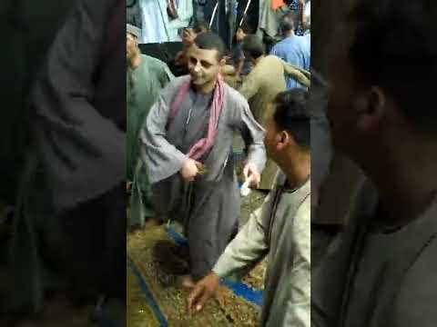 الشيخ عليوه