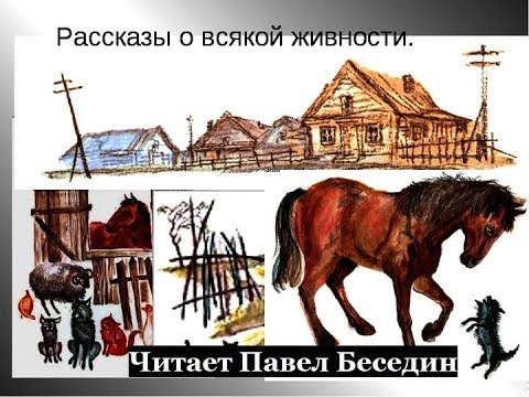 Белов рассказы о всякой живности аудиокнига