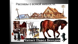 Рассказы о всякой живности ,   Василий Белов , читает Павел Беседин