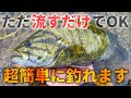 驚異的な効果！かなりヤバい最強ワーム＆リグ公開します！「8月」「9月」「釣れるワーム」