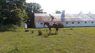 CAM00163.mp4