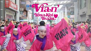 VIAN'よさこいチーム2026 第73回高知よさこい祭り 「Pink Popper」