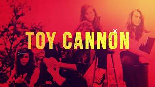 Toy Cannon Forever One Album Promo 1 enian Records firehouse poison trixter tyketto