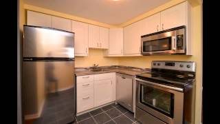 Welcome To 420 Lewis St