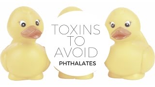 HEALTH | Toxins to Avoid #2 Phthalates (What They Are and How to Avoid Them)