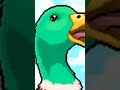 Duck Bak Meme Sound No Copyright Funny Sound Effect ЁЯШБЁЯШБЁЯШБ New Funny Meme Shorts Comedy Duck Bak Meme Sound No Copyright Funny Sound Effect ЁЯШБЁЯШБЁЯШБ New Funny Meme Shorts Comedy