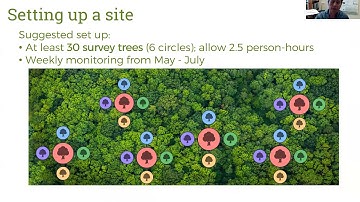 Caterpillars Count! Introductory Webinar