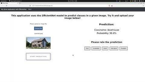 ML-Starter EfficientNet example
