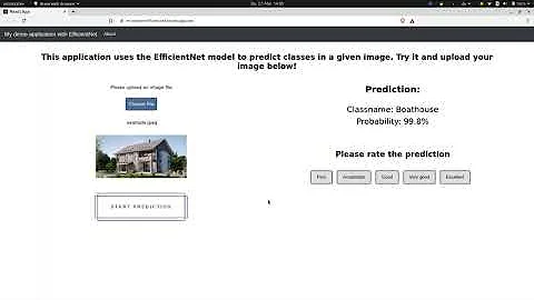 ML-Starter EfficientNet example