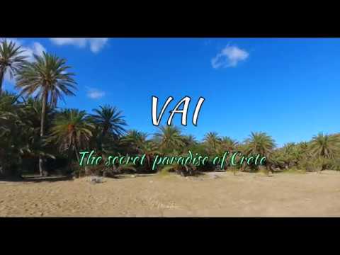 The palm forest of Vai / Το φοινικόδασος Βάι