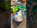 Sought fish market ✏️😨😨😨 #DelhiToKanyakumari #RoadTripIndia