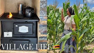 Download Lagu Village Life in Zimbabwe 🇿🇼 | Visiting Home \u0026 Mbare Musika Culture Market  MP3