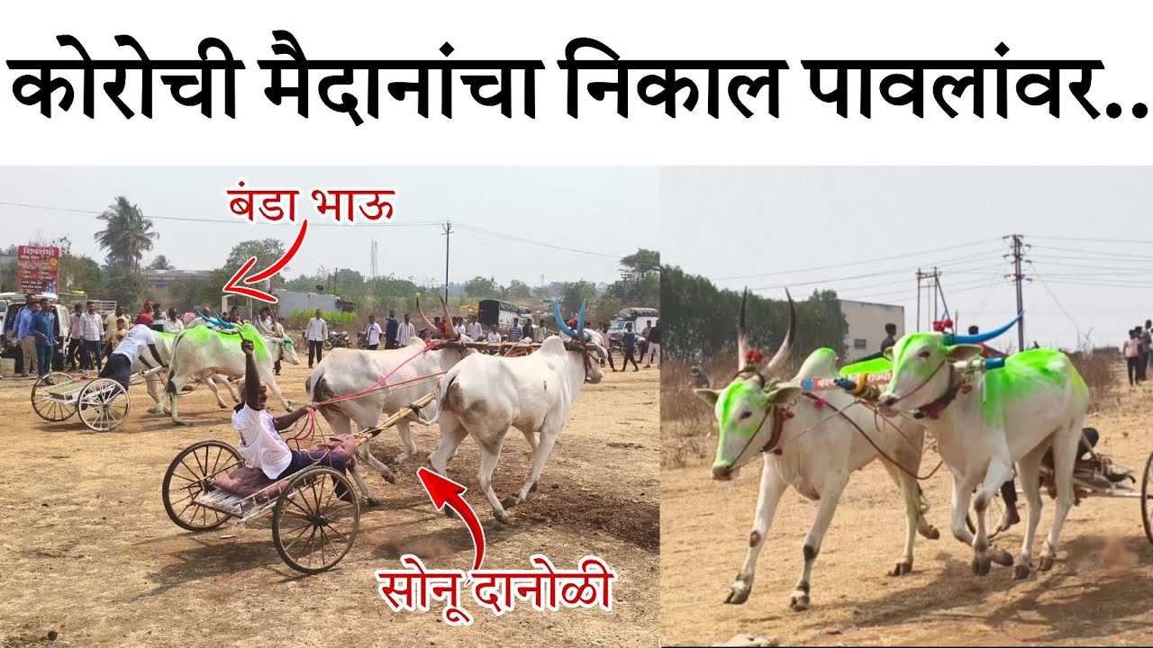 Корочи Майдан 2026 Корочи Баилгада Шариат 2025