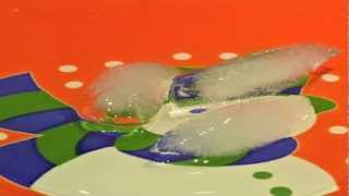 Melting Ice Cube Time Lapse with Nikon D7000