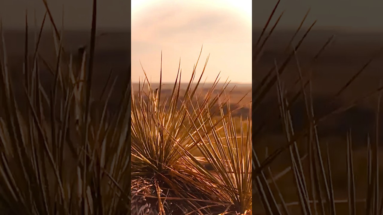 It is good to be near god | psalm 73:28 