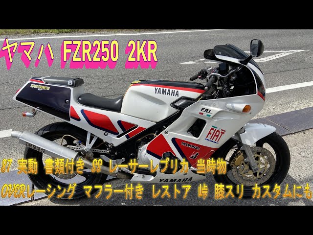 Yamaha FZR250 2KR 87, working, with paperwork, SS, racer replica