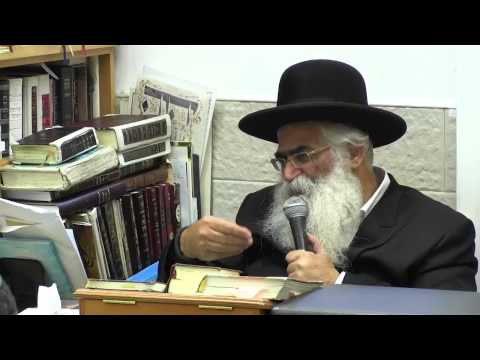 הרב יורם אברג'ל - המסר היומי -בצל החכמה בצל הכסף - ב' שבט תשע"ה