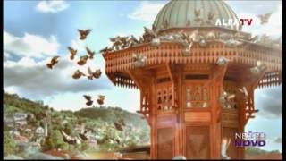 Nesto Novo - Mtel - Tv Alfa 01062016