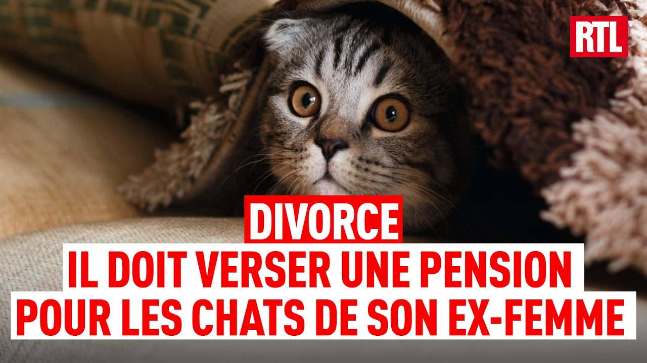 Turquie : Un cas de justice étonnant