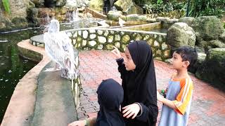 Download Lagu taman burung KL MP3