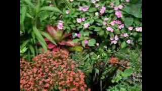 Hunte's Gardens in Barbados with Glory Tours and the Bajan Tour Girl