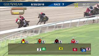Gulfstream Park August 30, 2018 Race 7