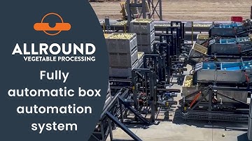 Allround fully automatic box automation system | Allround Vegetable Processing