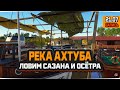 Рыбалка на реке Ахтуба. Проверка точек на Сазана и Осётра русского — Русская Рыбалка 4