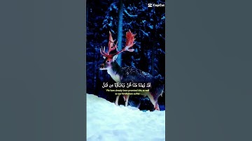 #اكسبلور " اجمل تلاوة تهز القلوب)"