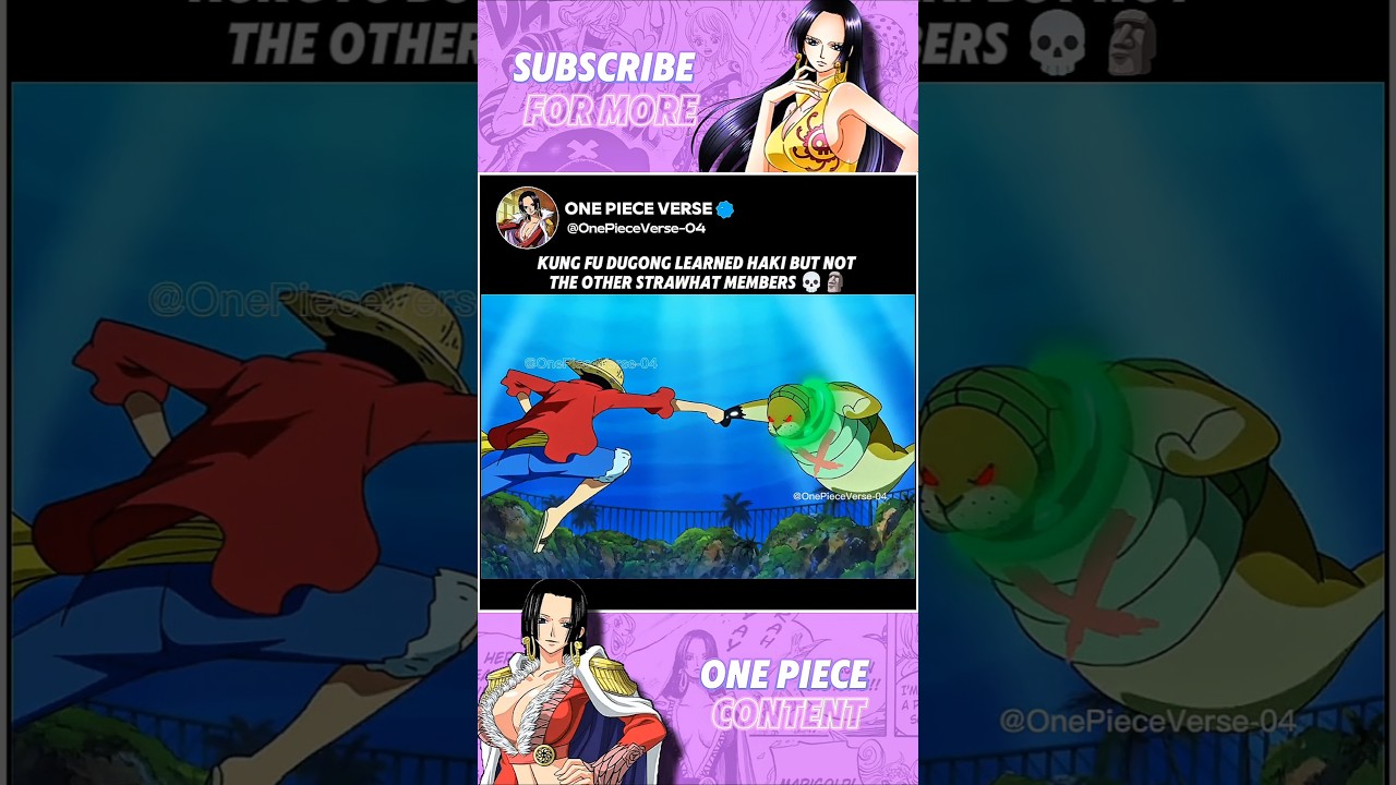 Kung Fu Dugong got haki when he met Luffy again 💀🗿