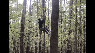 Why I'm taking a different path than everyone else