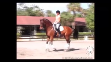Canter Oval Exercise with George Williams