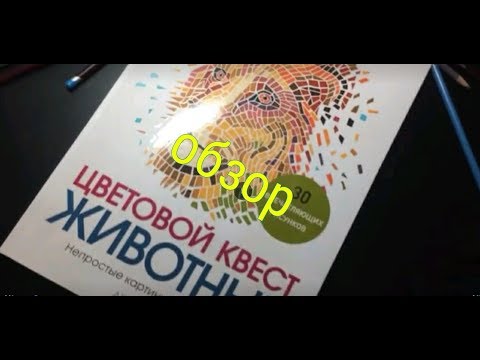 Цветовой квест животные/// обзор