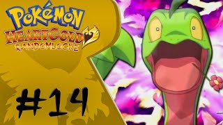 DÍA DE MALA SUERTE  | Pokemon HeartGold Randomlocke Ep.14