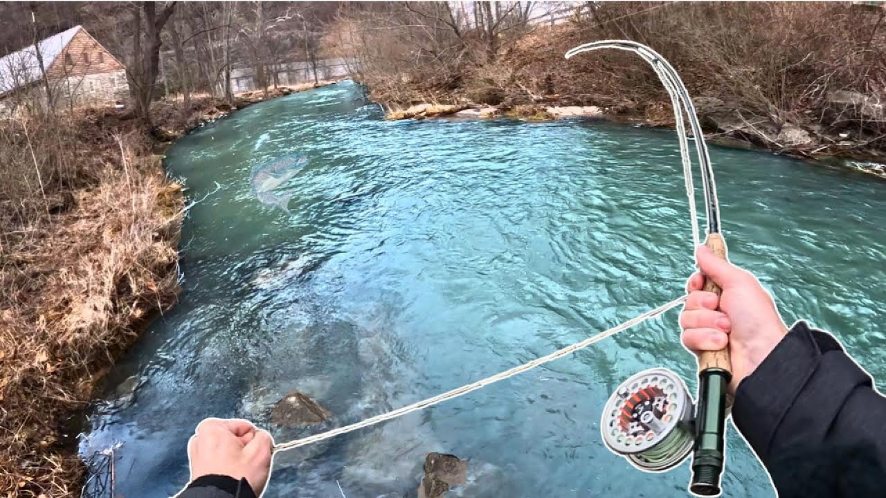 I was not expecting to catch a fish this fast!!! (First vid ever) - YouTube