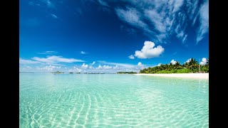 Ultimate Relaxation with Nature's Beauty Unleashed