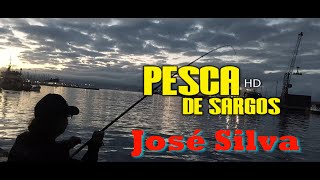 Pesca de Sargos José Silva com Queijo Flamengo em águas Paradas, na Ilha de São Miguel Açores 1080p.