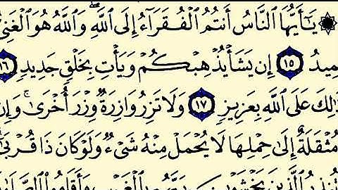 القارئ عمرو محمد ما تيسر من سورة فاطر