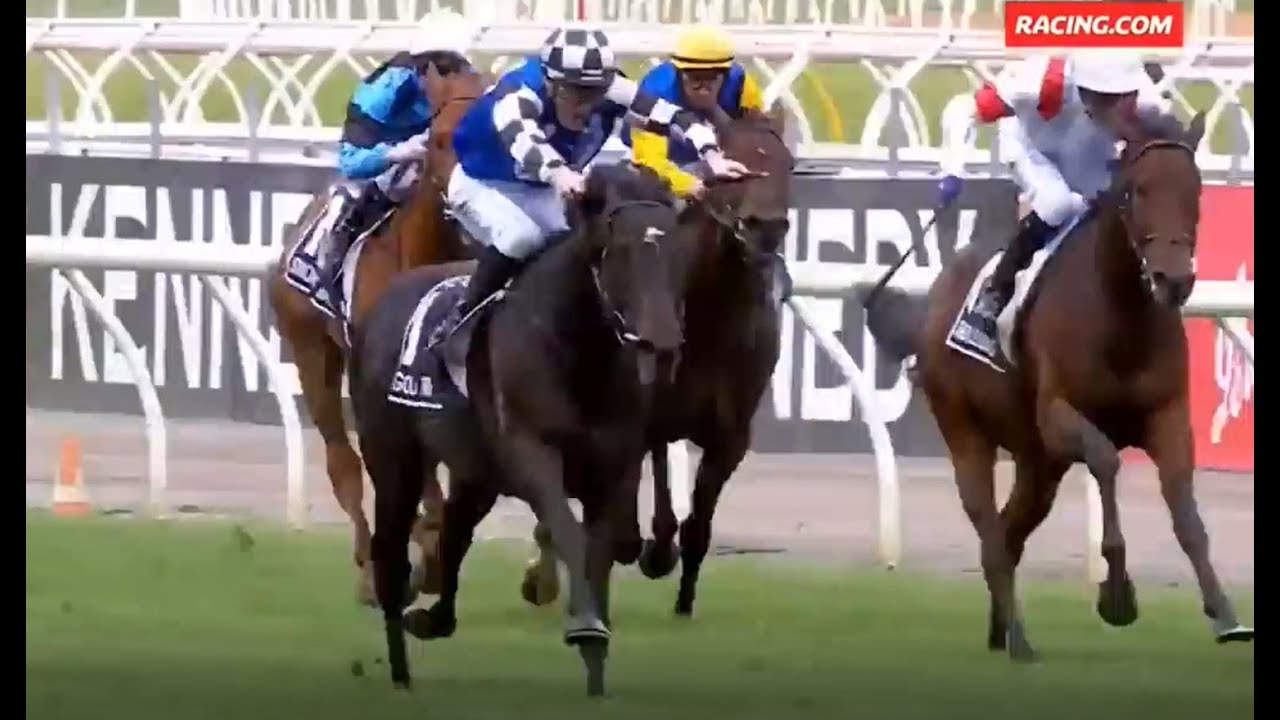 Melbourne Cup 2022   Gold Trip