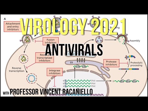 Virology Lectures 2021 #20 - Antivirals