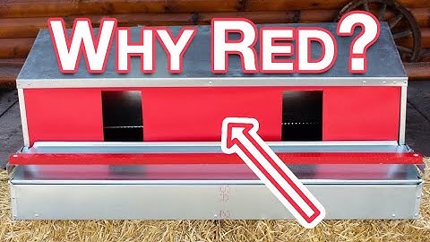 Why your Chicken Nest Box needs a "Red" Curtain & Roost Bar - Keep your eggs clean & unbroken.