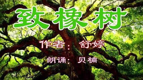 配乐经典朗诵《致橡树》舒婷 贝楠朗诵 (Chinese Poetry) - 天天要闻