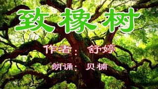 配乐经典朗诵《致橡树》舒婷 贝楠朗诵 (Chinese Poetry)