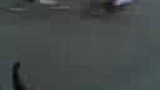 Elmo N Nick Jus Bein Stupid